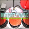 Butterfly Valve Victaulic  medium